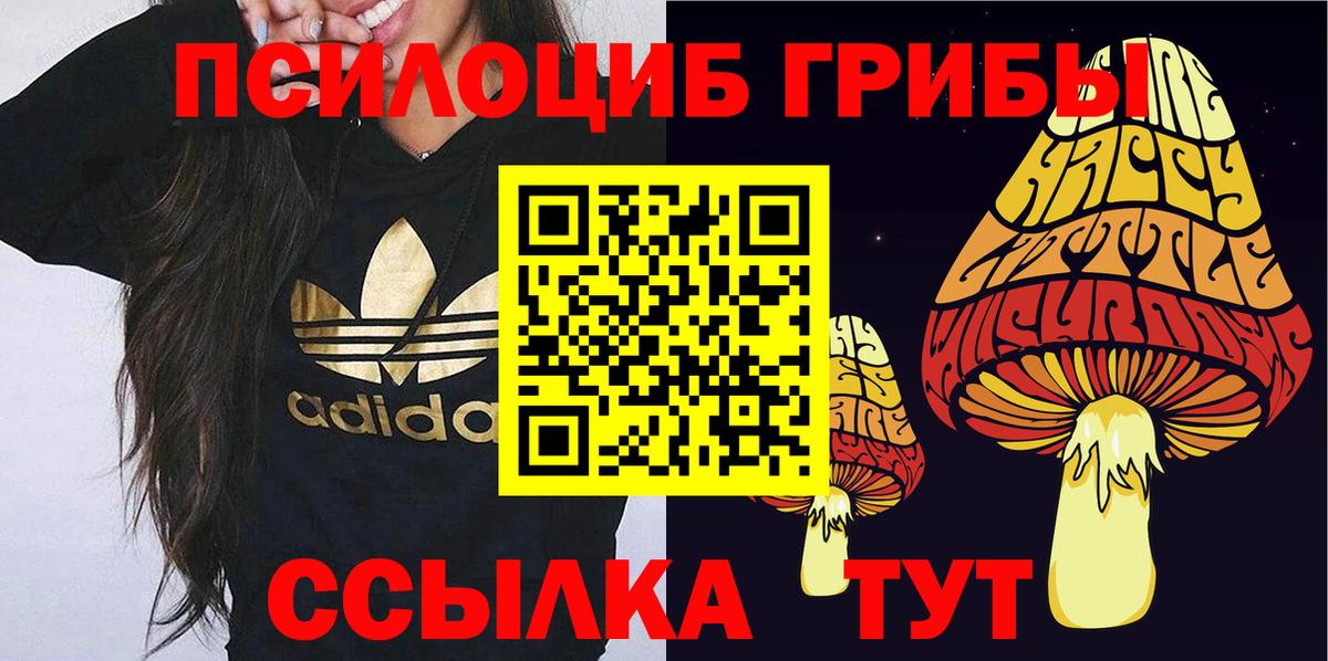 Псилоцибиновые грибы Psilocybine cubensis Братск