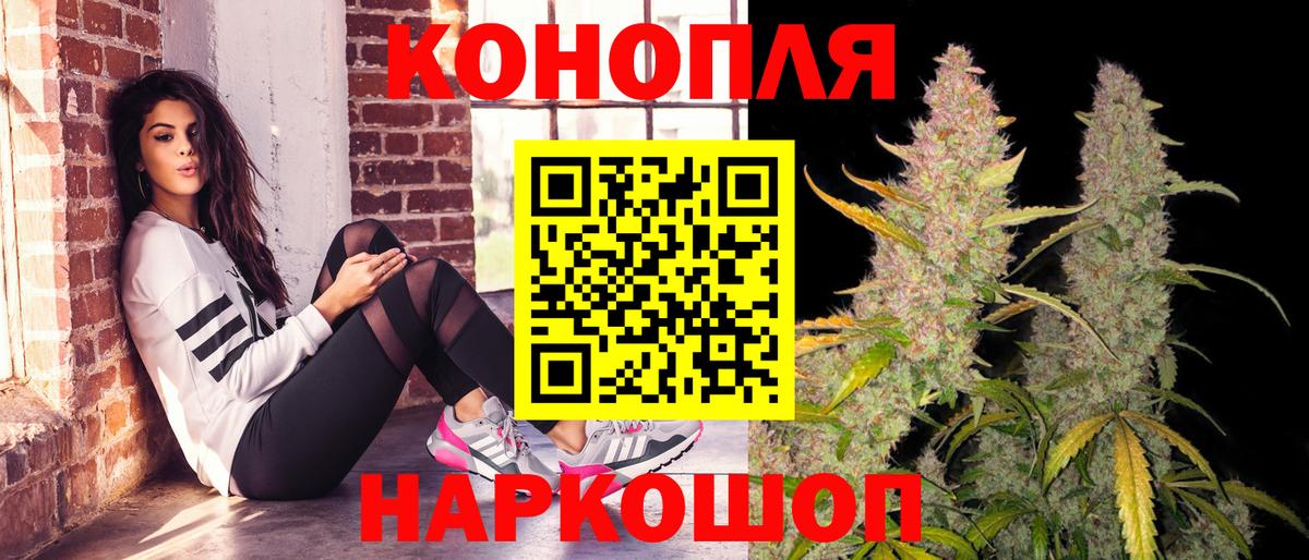 Каннабис OG Kush Братск